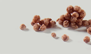 Milchproteincrispy Kakao